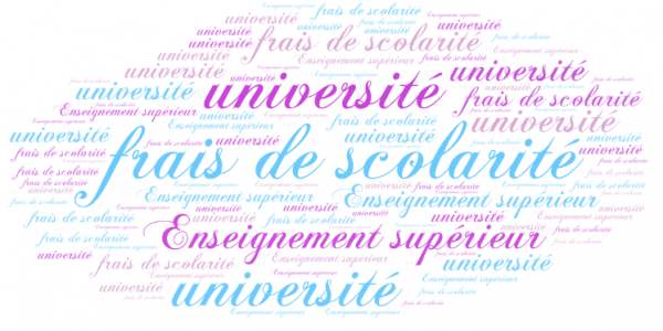 Le Conseil constitutionnel acte la gratuité de l'enseignement supérieur