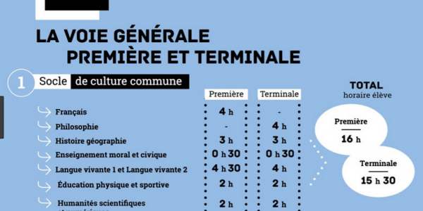 Politique des langues, ADN