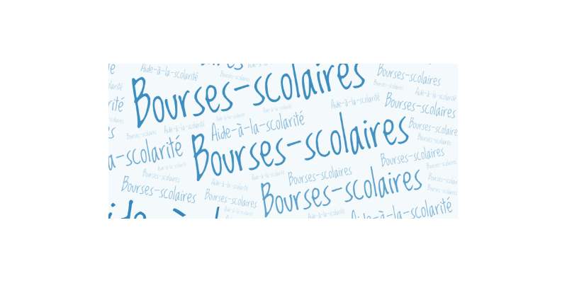 Synthèse de notre enquête sur les bourses scolaires Synthèse de notre enquête sur les bourses scolaires