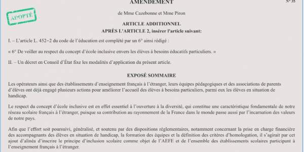 Ecole inclusive dans le réseau EFE