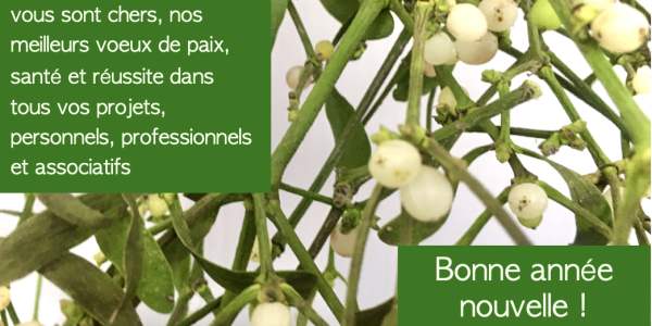 Bonne Année nouvelle !