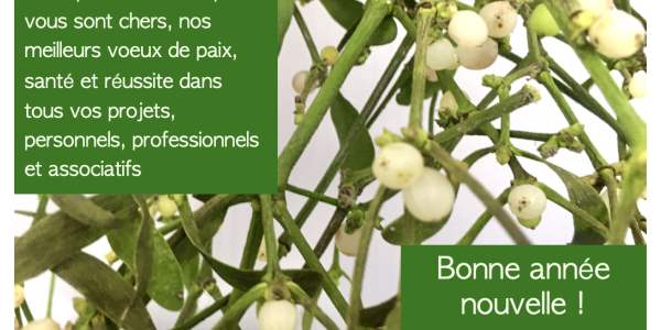 Bonne Année nouvelle !