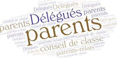 Synthèse de notre enquête sur les parents délégués de classe
