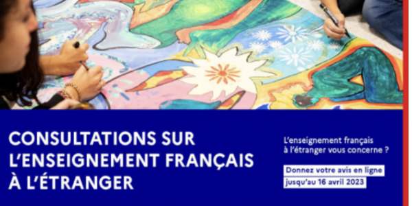 Consultation sur l'enseignement français à l'étranger