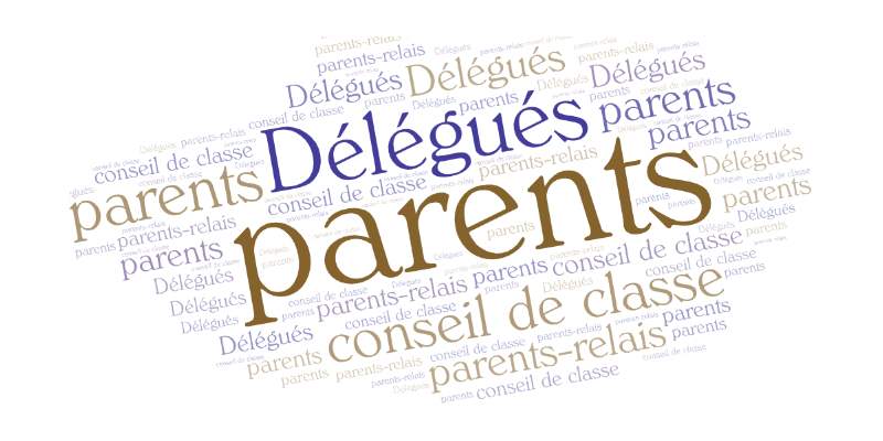 Synthèse de notre enquête sur les parents délégués de classe