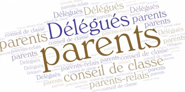 Synthèse de notre enquête sur les parents délégués de classe
