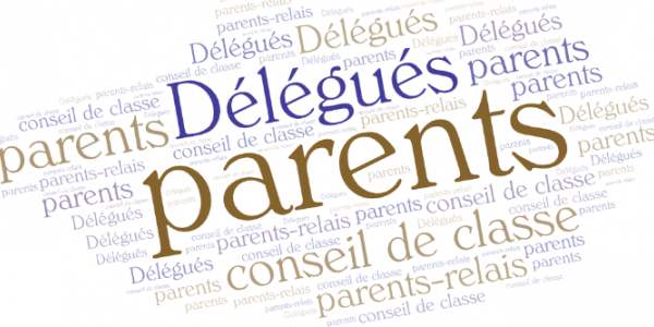 Synthèse de notre enquête sur les parents délégués de classe