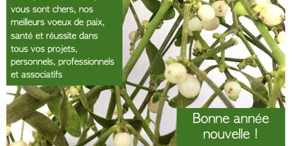 Bonne Année nouvelle !